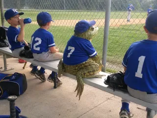 Bench, chain-link, four caps, jersey 7, webbed feet, glove.