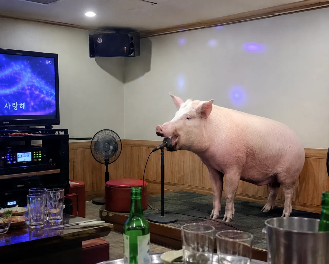 Microphone stand, soju bottles, fan, speaker, TV, pig.