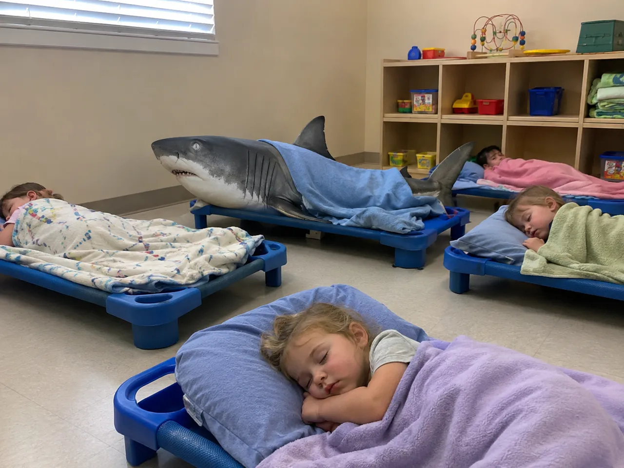 Small dreamers adrift, one predator rests among them.