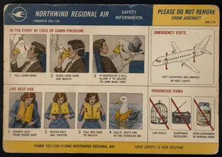 Yellow card, creases, gull, oxygen mask, herring brine, cage, radio, red arrows, woman, life vest, man, blue seat.
