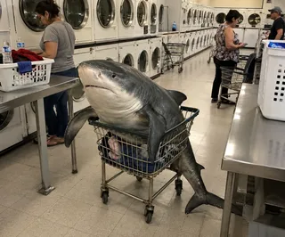 Cart, fins, tile floor, machines, two women, laundry.