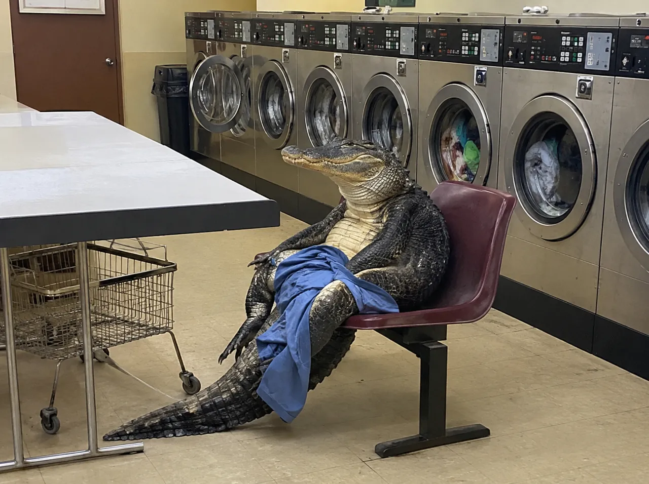 Chair, blue cloth, basket, tile, six machines, claws.
