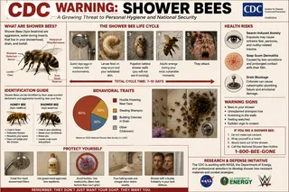 Pie chart, drain photo, bee anatomy, hotline number, NASA logo.